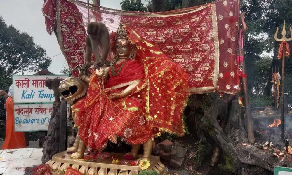 पाथिभरा केबलकार निर्माण तत्काललाई स्थगित